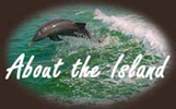 about the island
