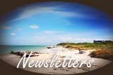 newsletters