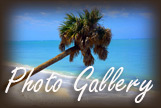 photo gallery